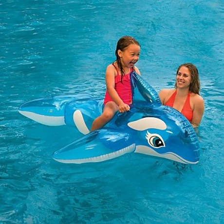 Lil' Whale Ride-On 60" x 45" (Or 1.52m x 1.14m) For Kids Age 3+