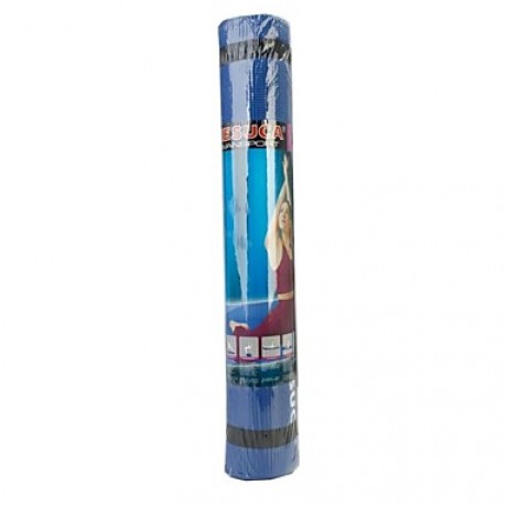 Yoga Mat 4mm with Net Package  